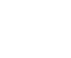 W Cortés · Digital Ads Consultant
